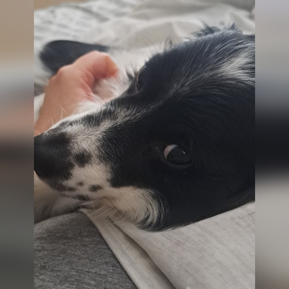 Meet your Posher, Anna - Picture 10 of 12